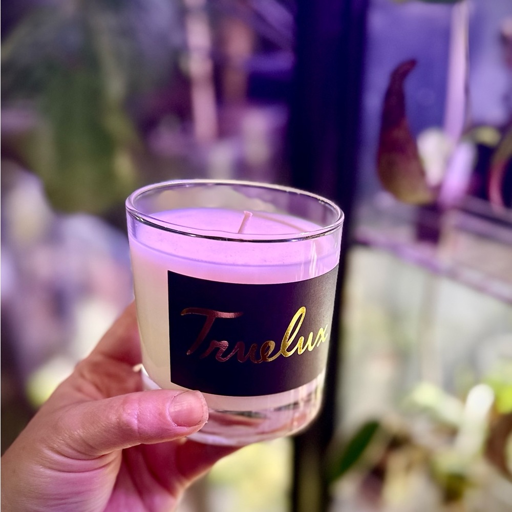 Truelux Cantina lotion candle